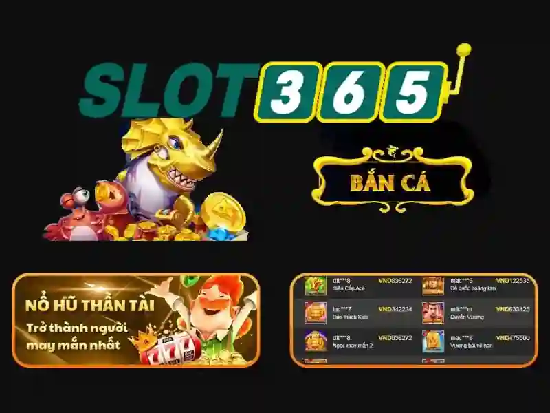 Giới thiệu về Slot365