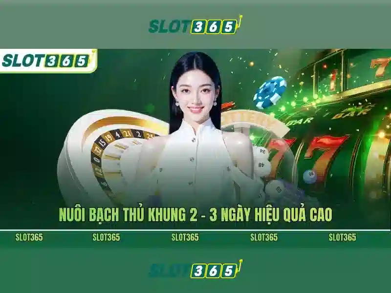 Ưu điểm nổi bật\n\n<h2><b>An toàn và thanh toán</b></h2>\n<p><span style=