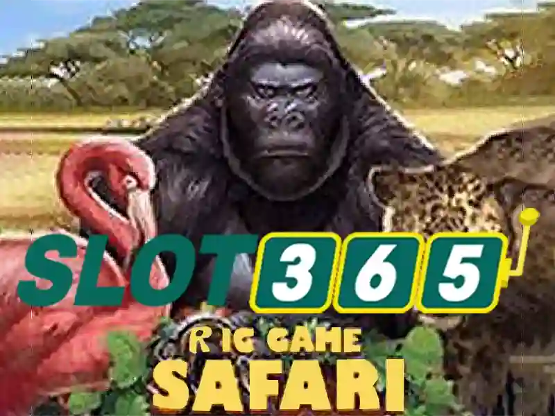 Tính năng nổi bật của Slot365
